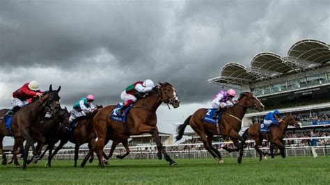 bet365 quadpot|Quadpot Guide .